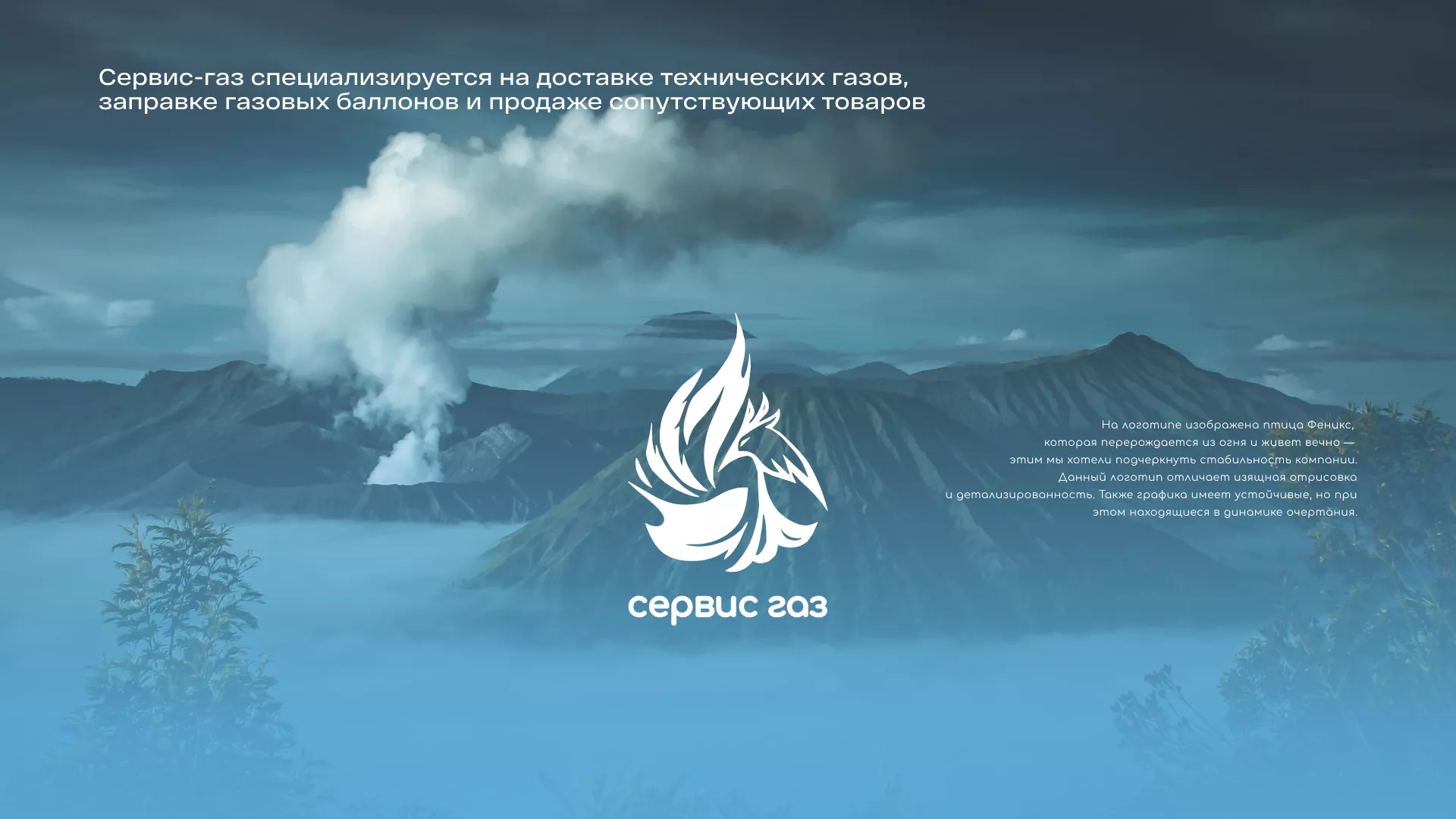 Создание сайта компании «Сервис газ» в Данилове