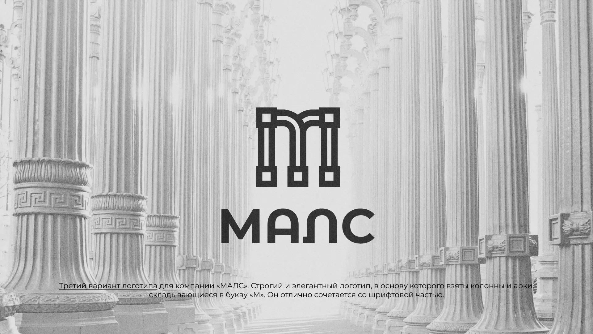 Разработка логотипа компании «МАЛС» в Данилове