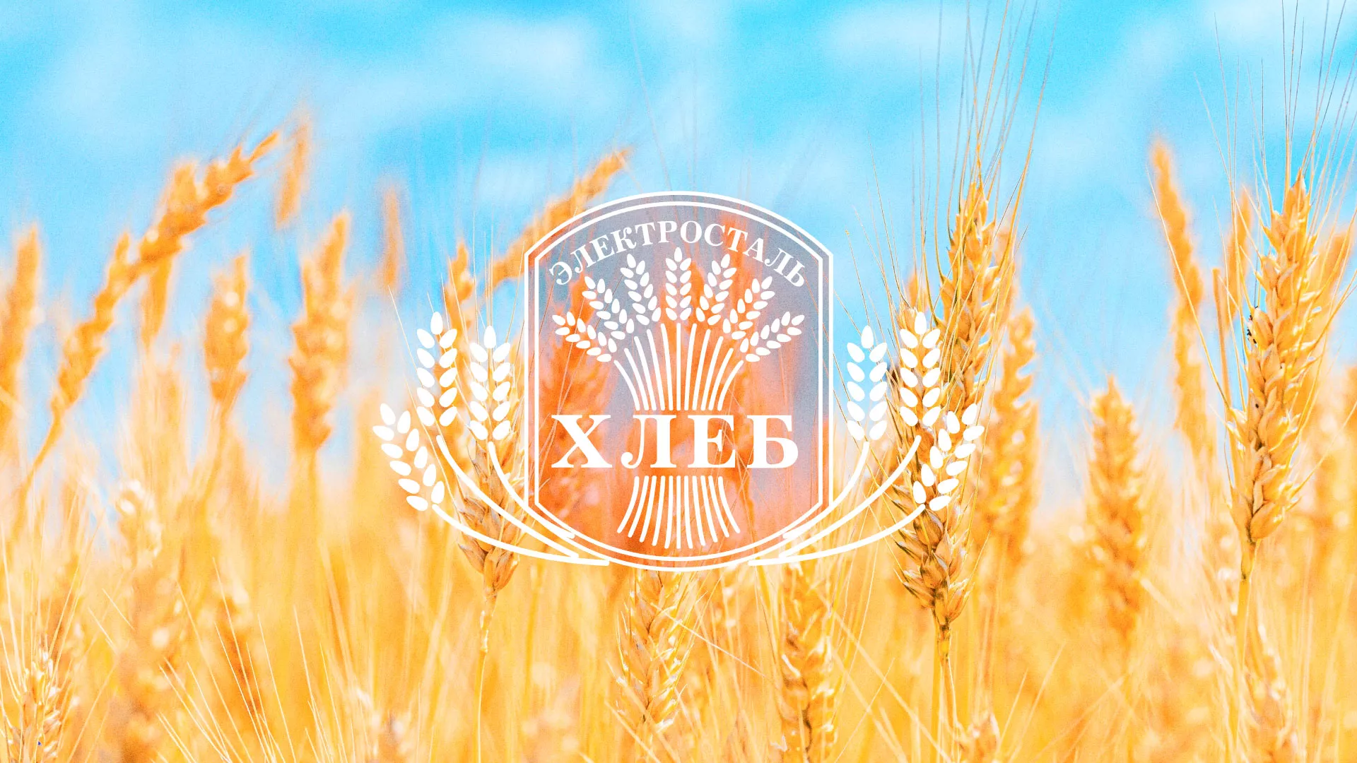 Создание сайта для хлебзавода в Данилове