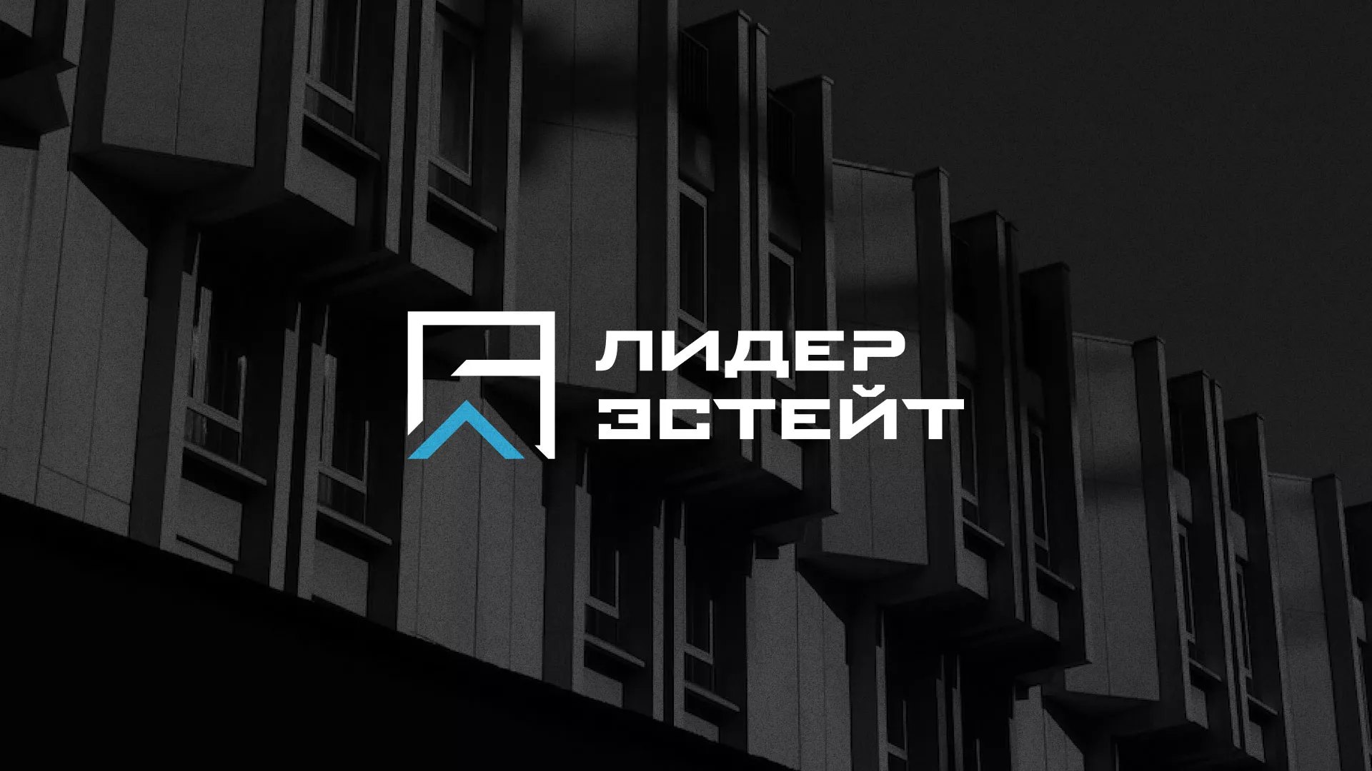 Разработка логотипа агентства недвижимости «Лидер Эстейт» в Данилове